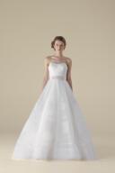 WPD134748ーインポートブランドプラン