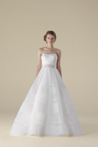 WPD134748ーインポートブランドプラン