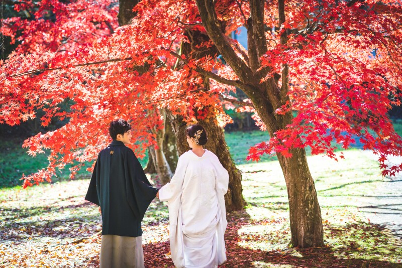 早い地域の色づき始めは10月中旬から