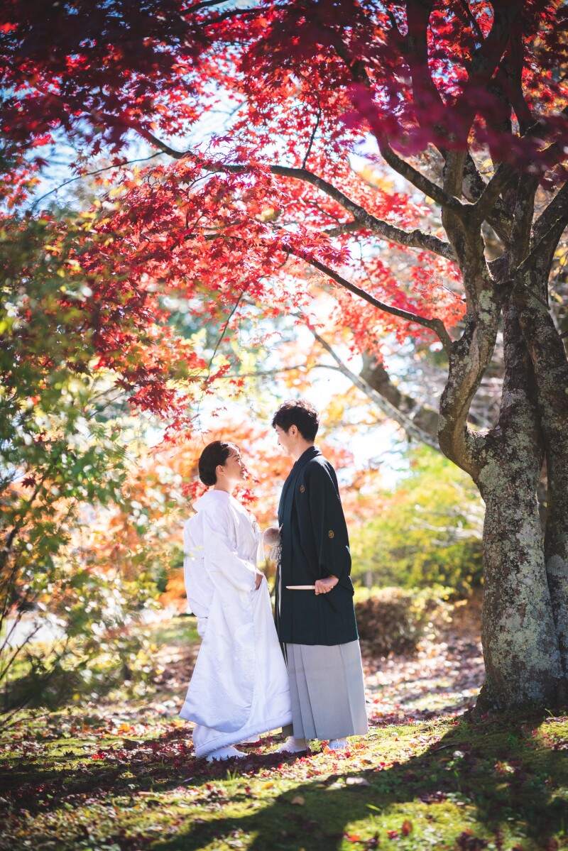 山梨なら紅葉を長い期間楽しめる!