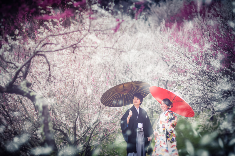 梅の花の特徴♡