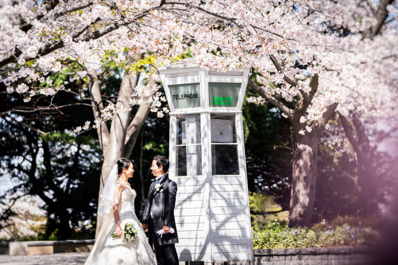 元町公園ならではの桜フォト!