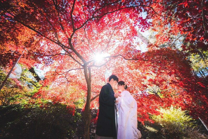 木漏れ日と紅葉に包まれた幻想的なお写真も