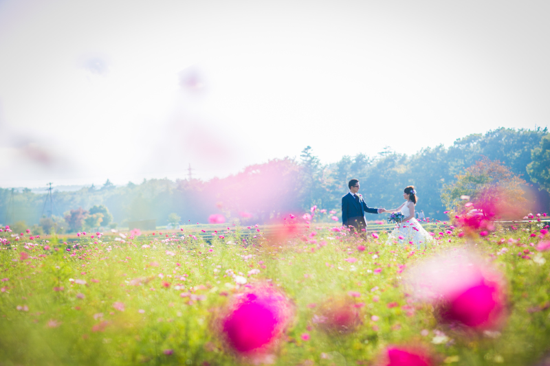ドレスチェンジしてコスモス畑へ・・