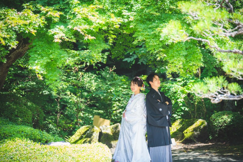 青紅葉のこもれびで