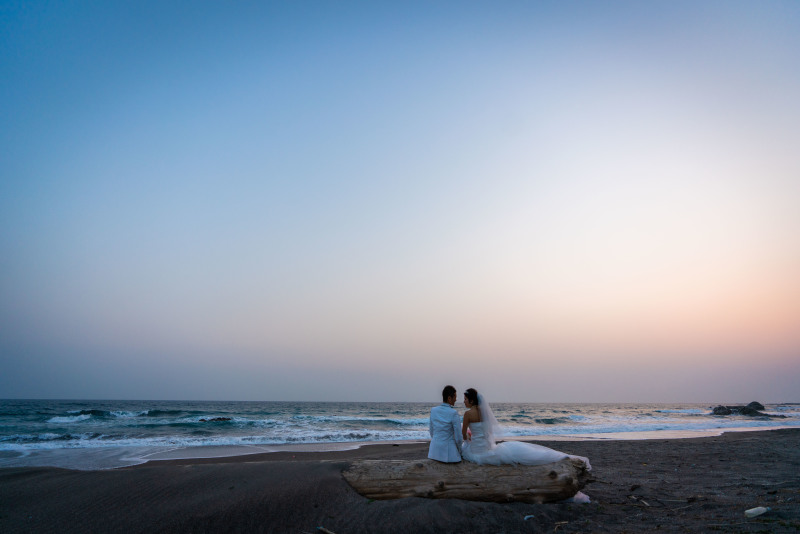 流木も撮影アイテムに!