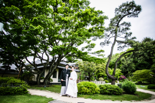 日本の美 -新緑の肥後細川庭園-