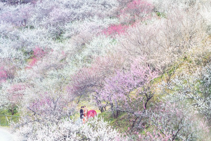 そしてカメラマンは隣の山まで出張!