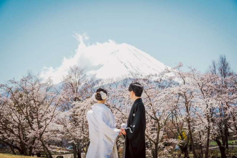 富士山と桜、ぜいたくな景色にうっとり