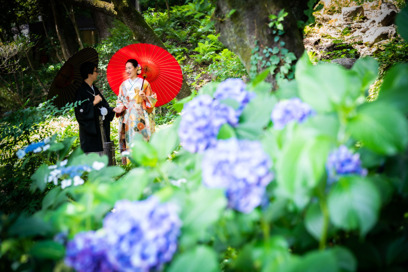 四季折々の姿を見せる庭園