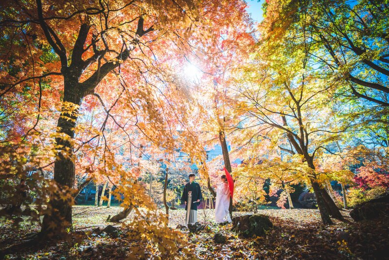 和装*白無垢|紅葉ロケーション撮影