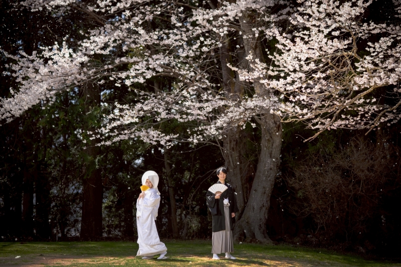 桜の下で、ふたりの笑顔も花咲く