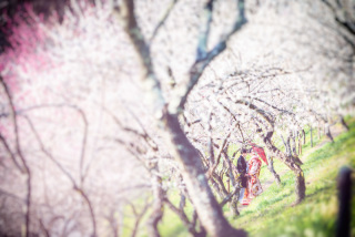 １Day♡梅林ロケ