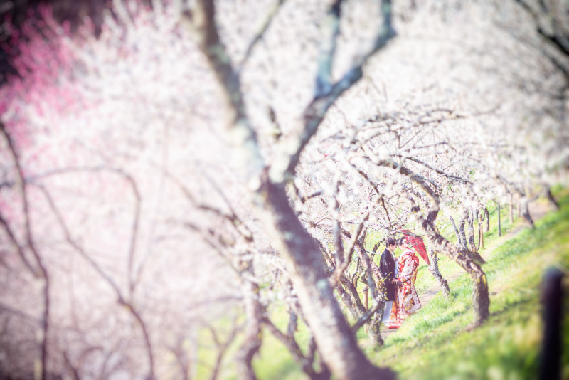 1Day♡梅林ロケ