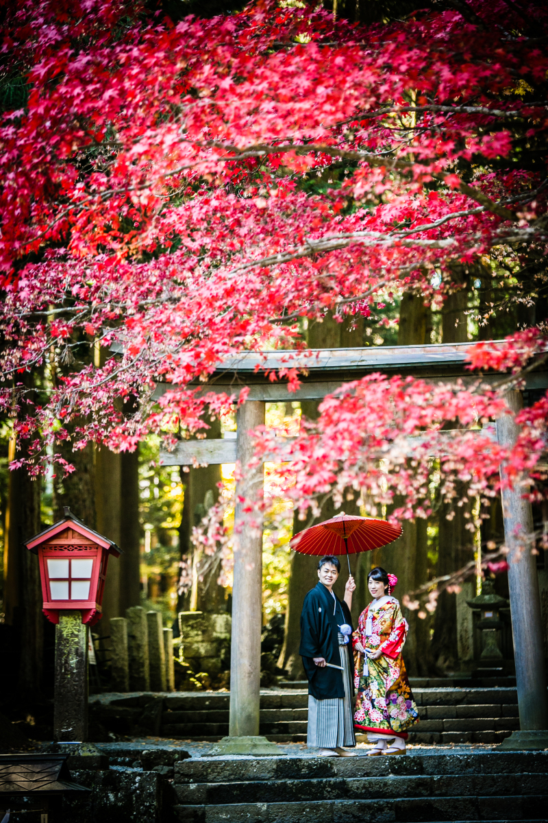 真っ赤に色づいた紅葉