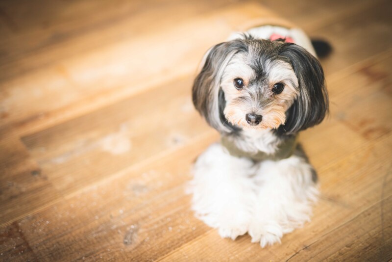 ロケ中のお預かりも可能です!