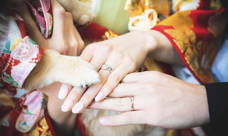 MK Wedding Photography【produce by funwedding】_ペットと一緒に撮影できる