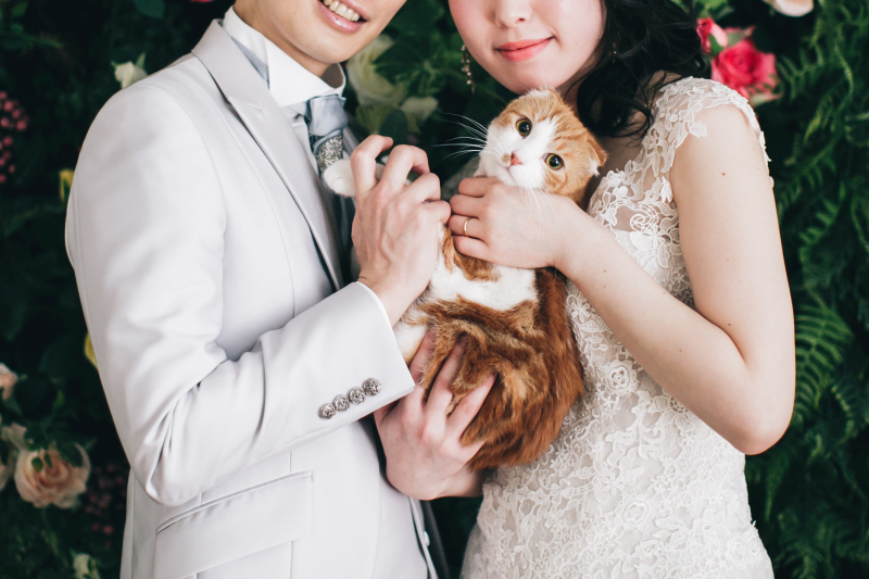 ペットが一緒でも料金は同じ。