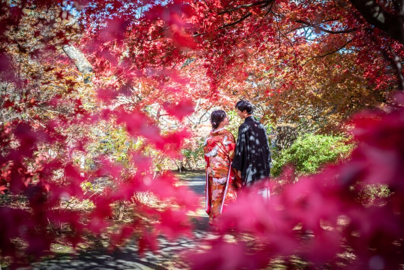紅葉シーズン限定!【富士山周辺 和装フォトウエディング】地元フォトグラファー厳選ロケ地での撮影|美肌レタッチ&選べるアルバム付