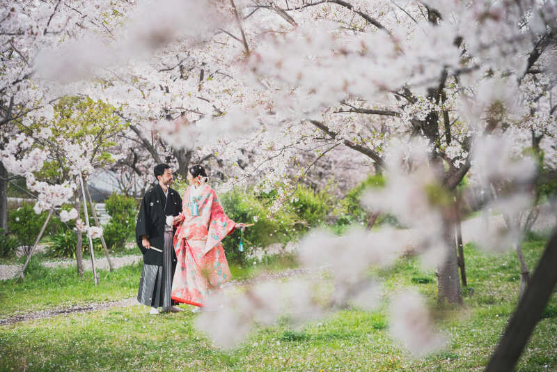 《 桜ロケーション 》和装１着｜トップフォトグラファー撮影 / 全データ＆レタッチ写真付 ＋ 選べるアルバム特典