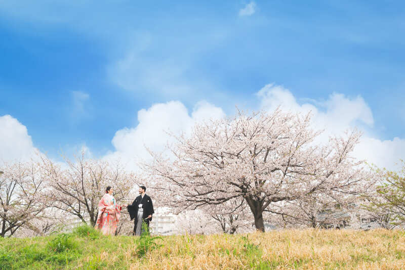 《 桜ロケーション 》和装１着｜トップフォトグラファー撮影 / 全データ＆レタッチ写真付 ＋ 選べるアルバム特典
