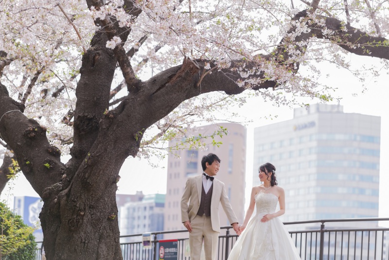 神田川で桜ロケーション撮影
