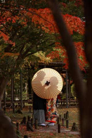 平成庭園　紅葉ロケーション撮影