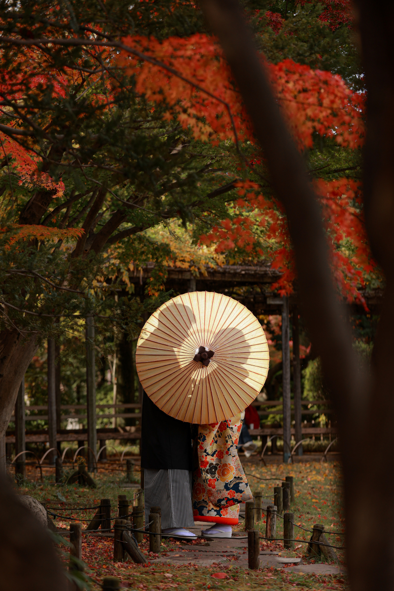 平成庭園 紅葉ロケーション撮影