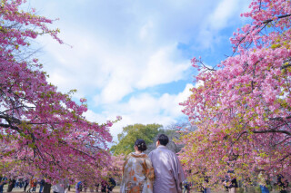 SAKURA　location photo...