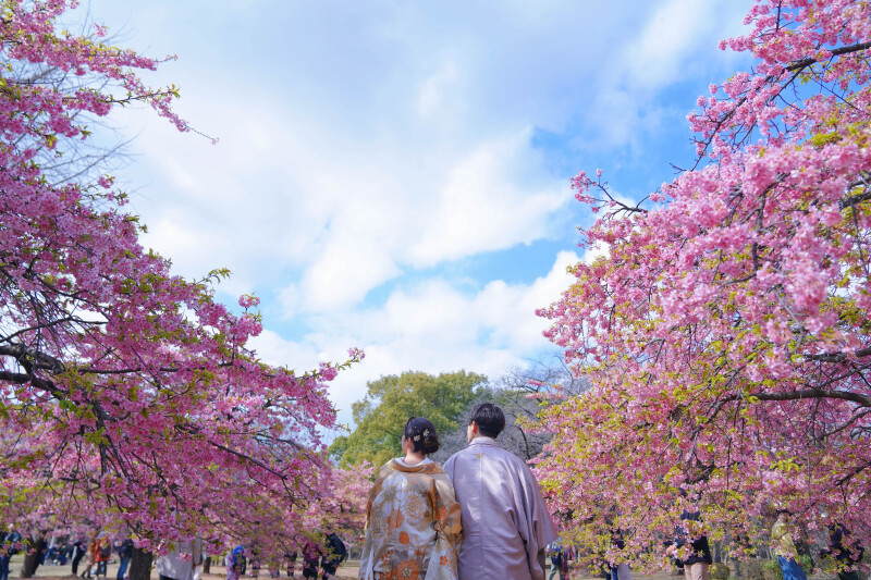 SAKURA location photo...