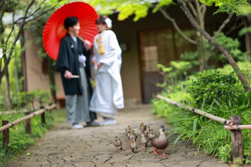 【40カットデータ３日で納品】３/31迄￥65,000！フォトレイト限定和庭園ロケ+スタジオ撮影プラン（白無垢＆色打掛撮影）