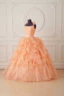 3223★取り寄せ品