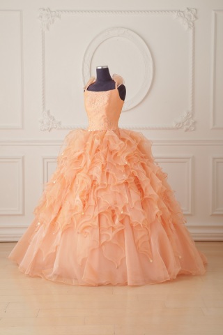 3223★取り寄せ品