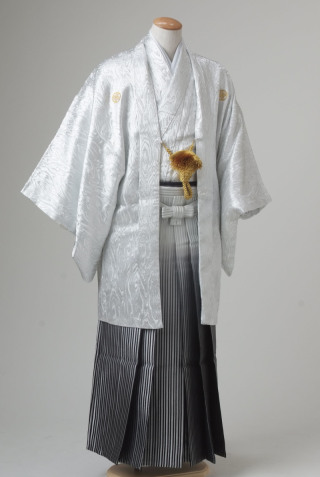 8005 シルバー★1