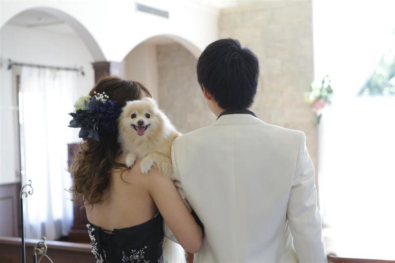 モアちゃん参加