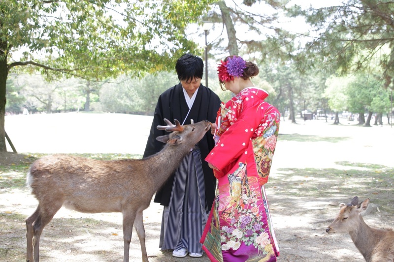 鹿せんべい♪♪