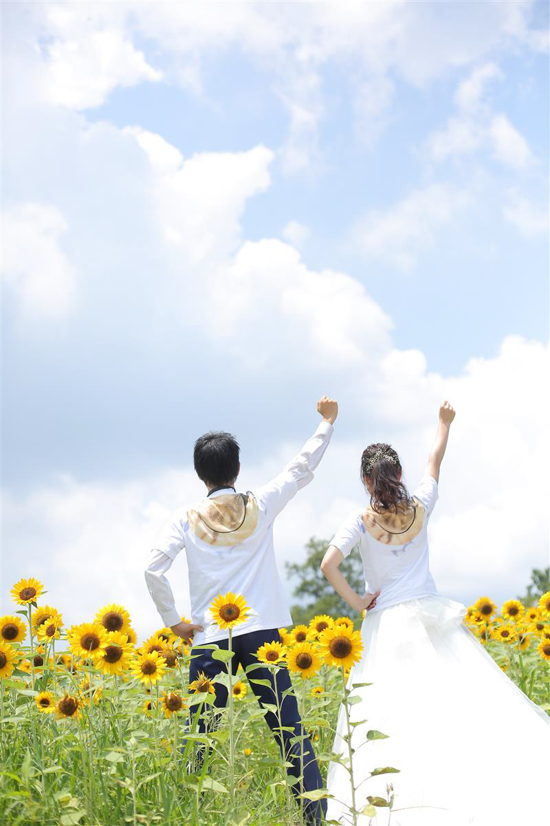 ひまわりと空と☆