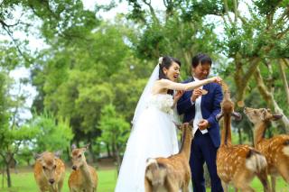 奈良公園ロケ＆チャペル撮影