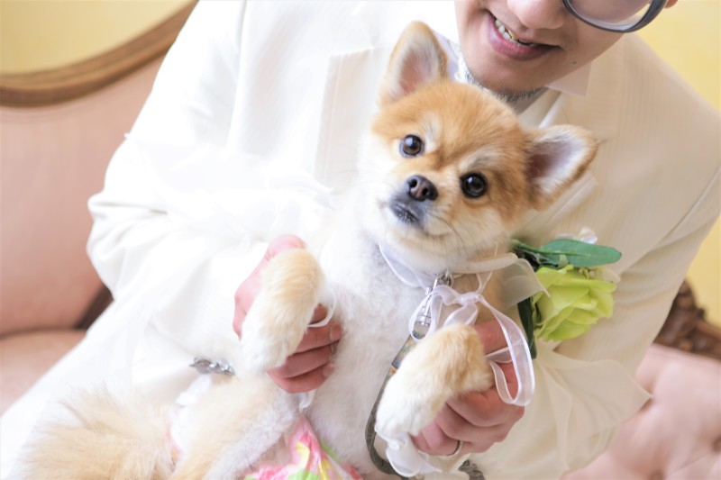 ペットと一緒に結婚式