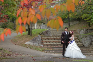 紅葉お散歩ロケ