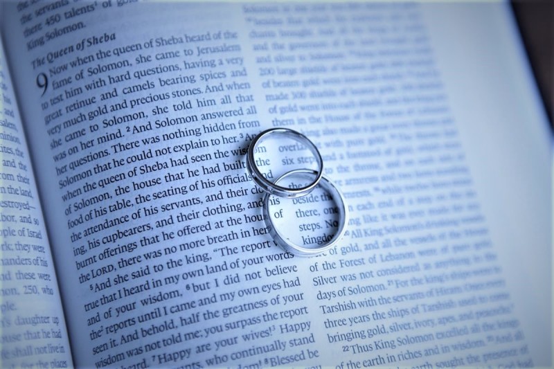 イメージカット