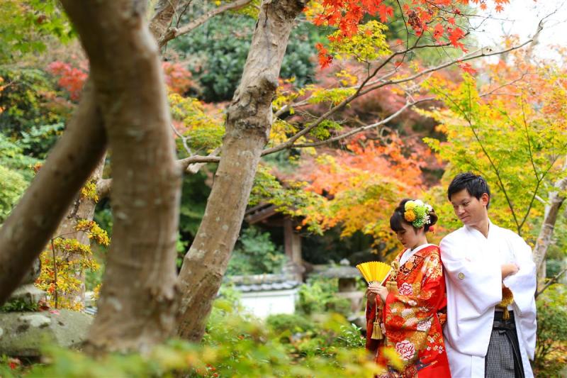 秋のロケーション　中期