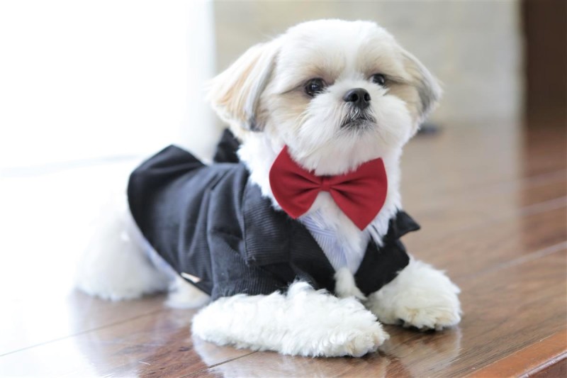 ナイスショット！！