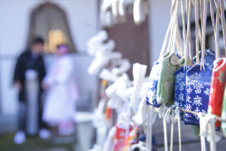 當麻寺　冬撮影