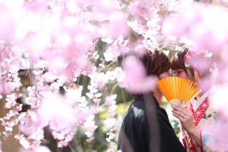 當麻寺で桜ロケ♪