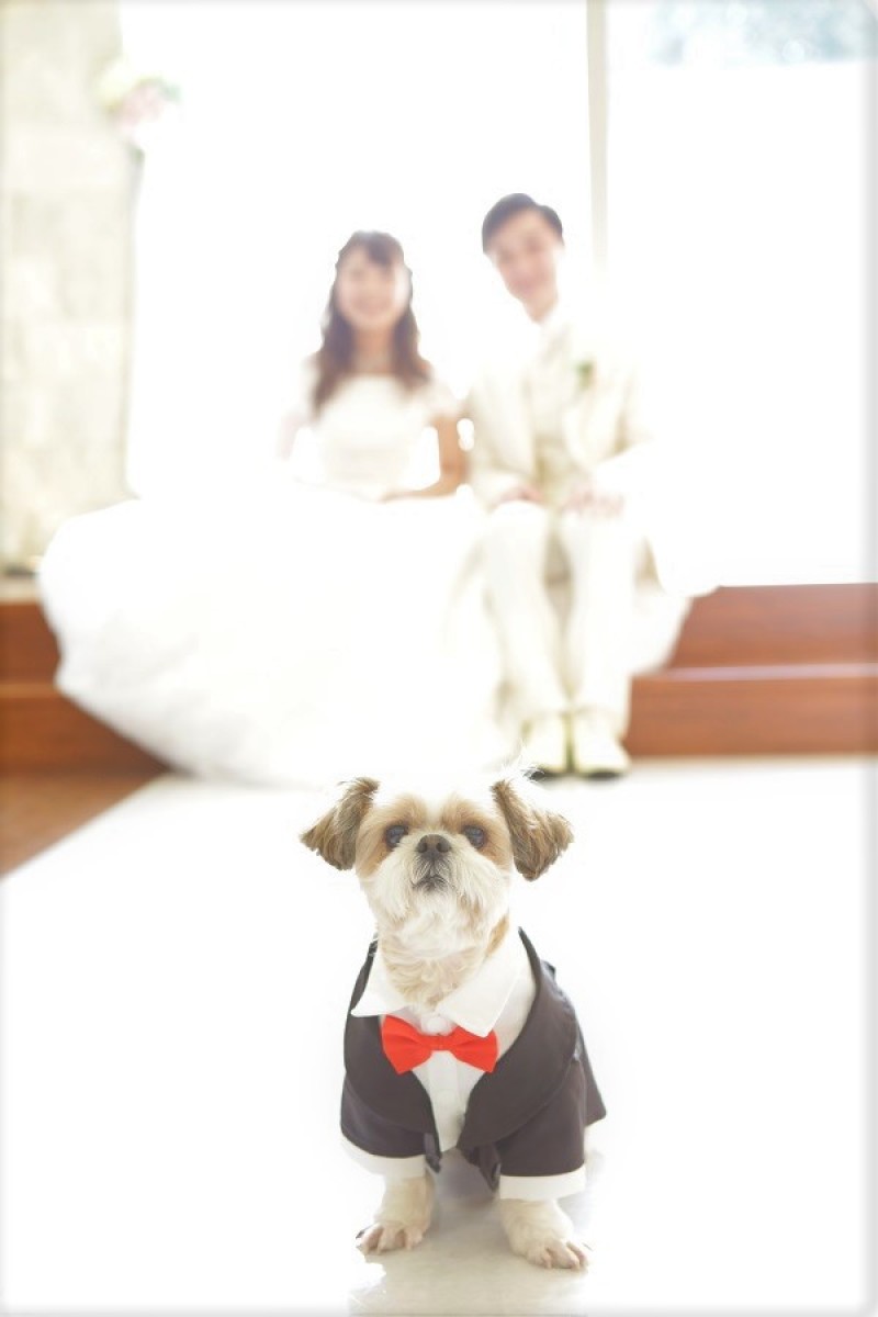 目立っちゃいました！