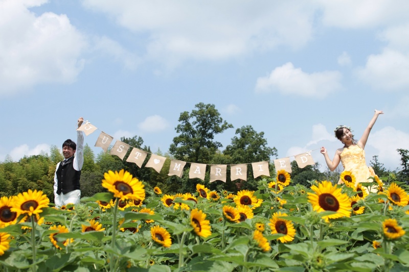 ヒマワリとテニスと。。。♪