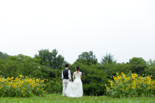 雨の中のロケーション～ひまわり～