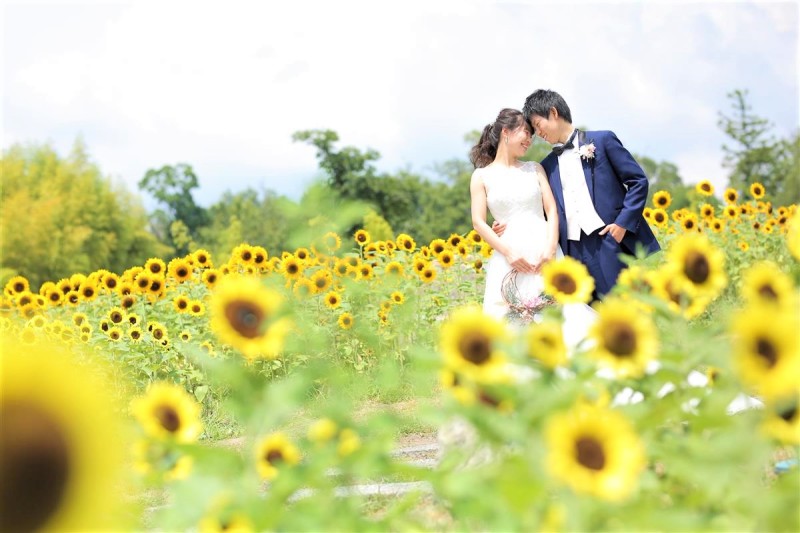 向日葵ロケーション