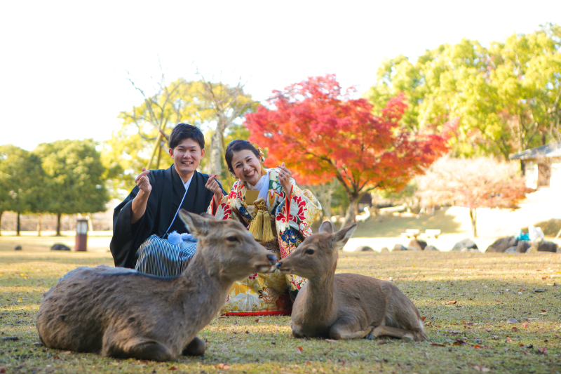 秋の奈良公園撮影